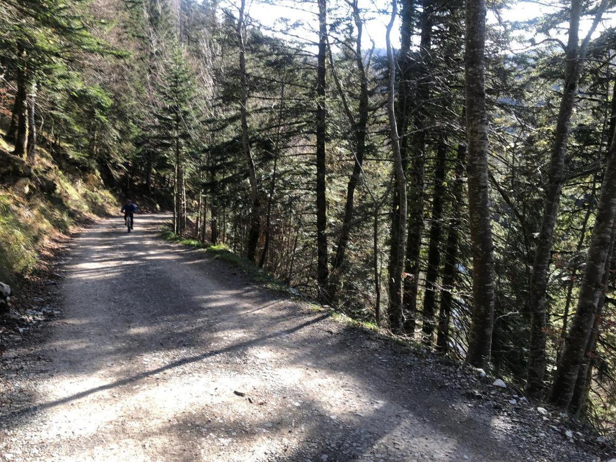 Chalet La Borda Del Tio Nicolas - Selva De Irati Aribe